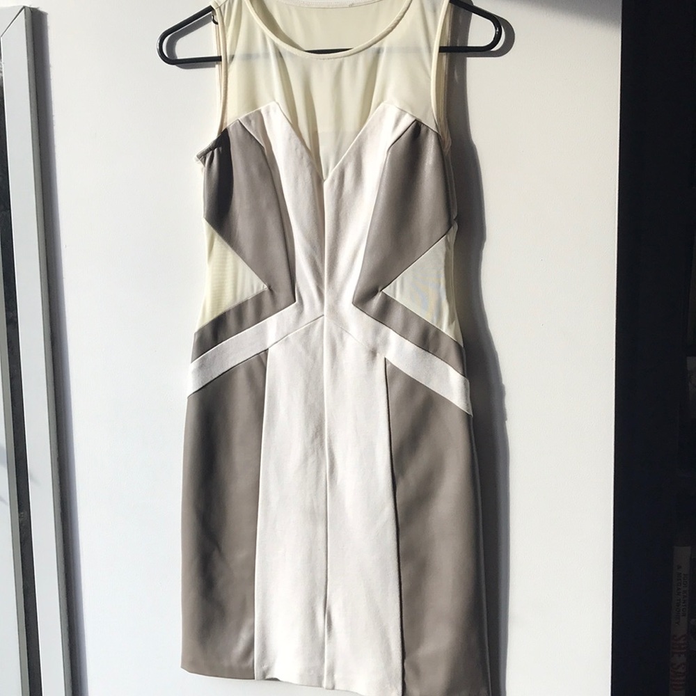Unique Gray/Cream Dress